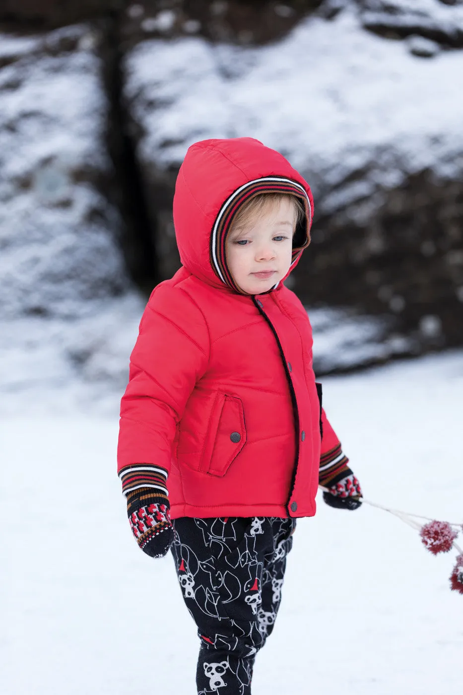 Baby Boys Red Coated Hooded Parka