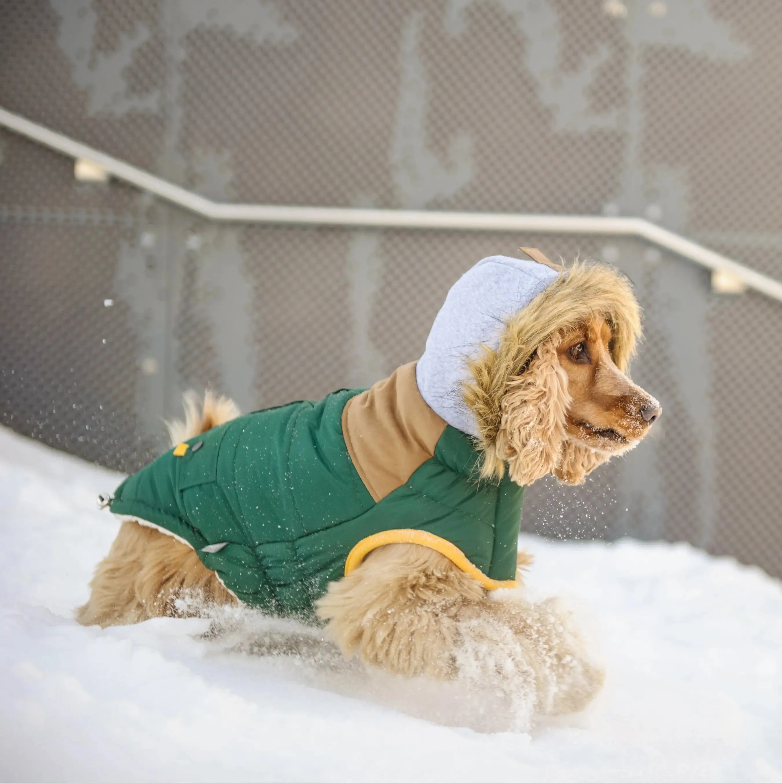 Lodge Parka Dog Coat | Forest Green