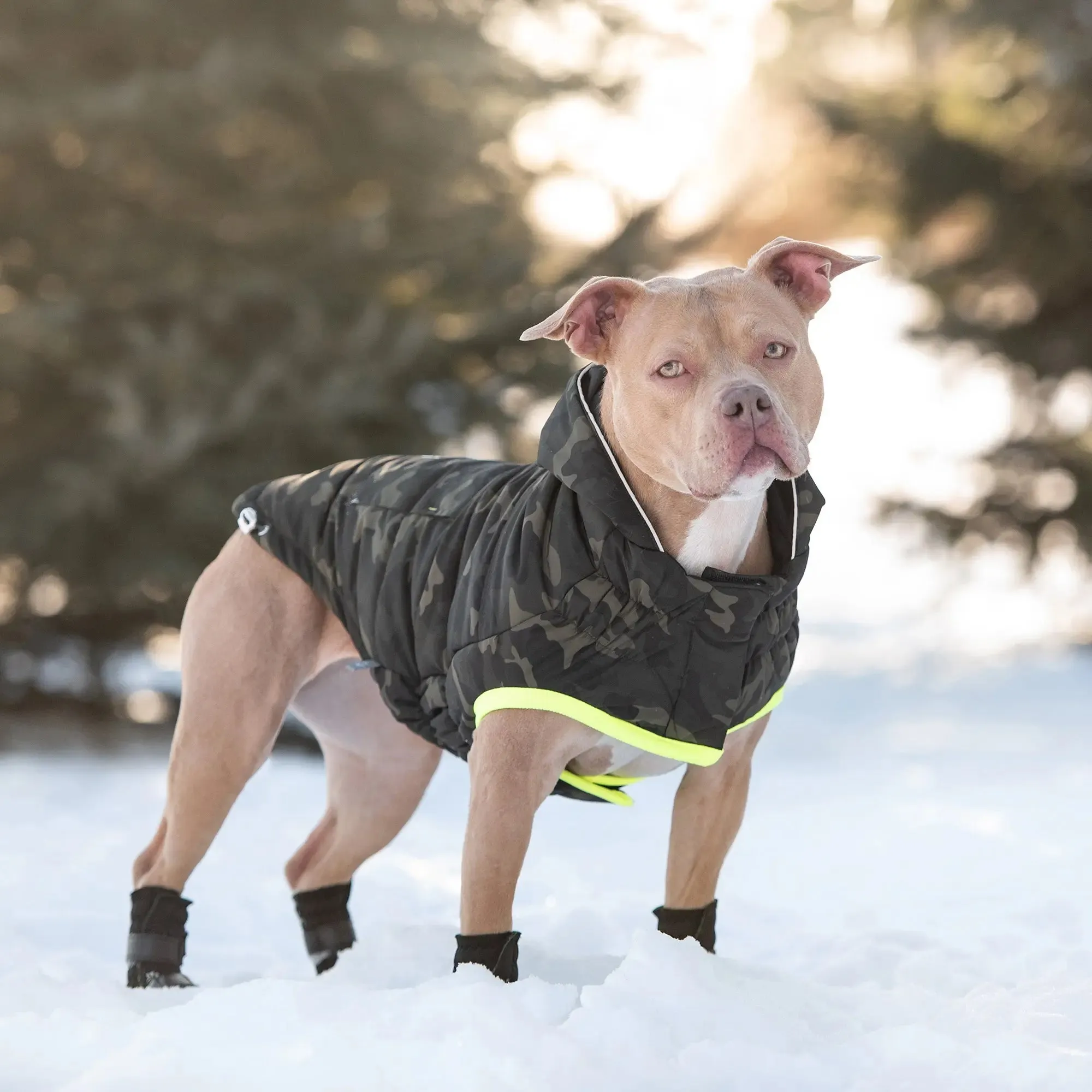 Recycled Parka Dog Coat | Camouflage