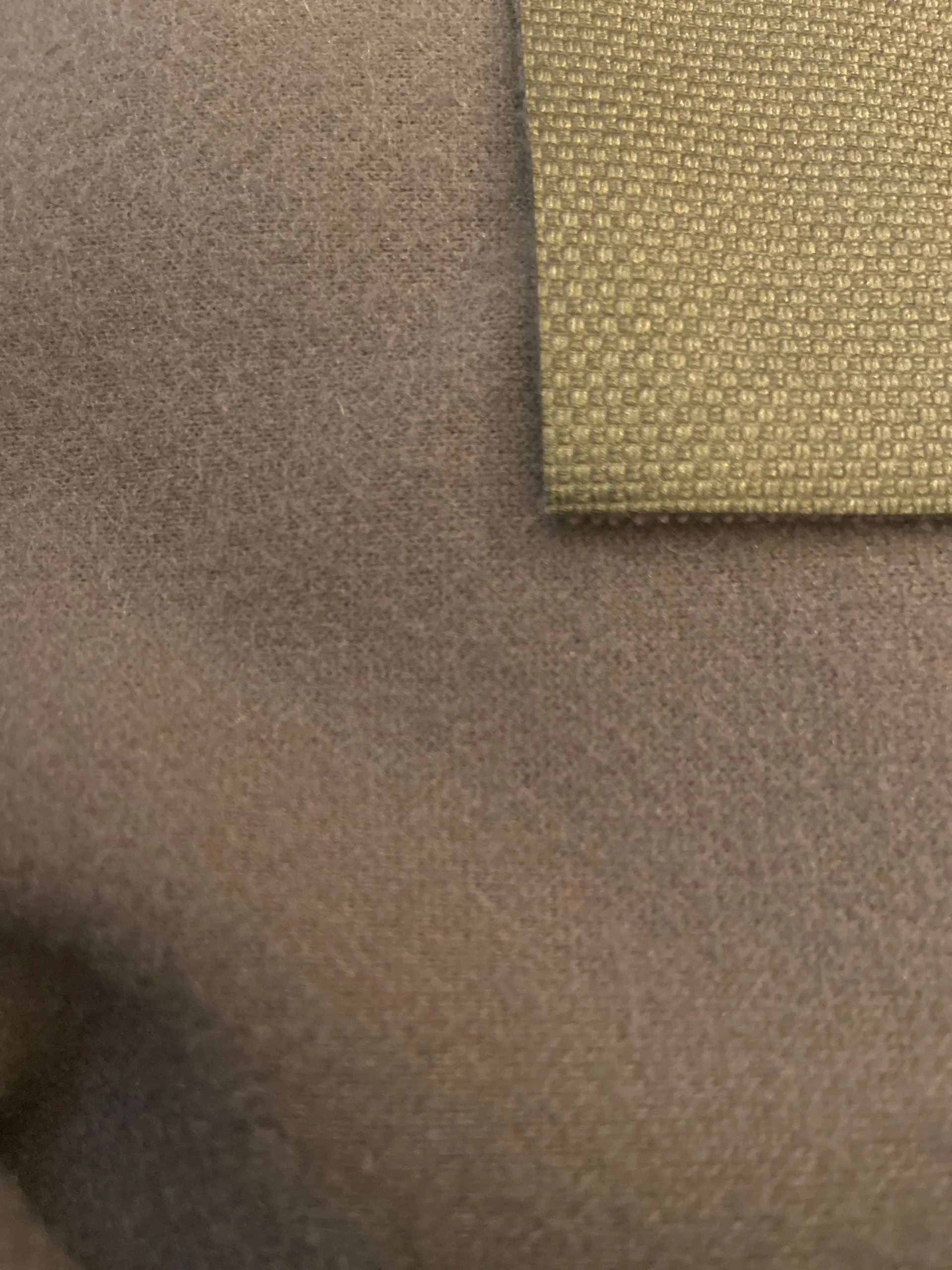 Seaweed Reverse Fleece