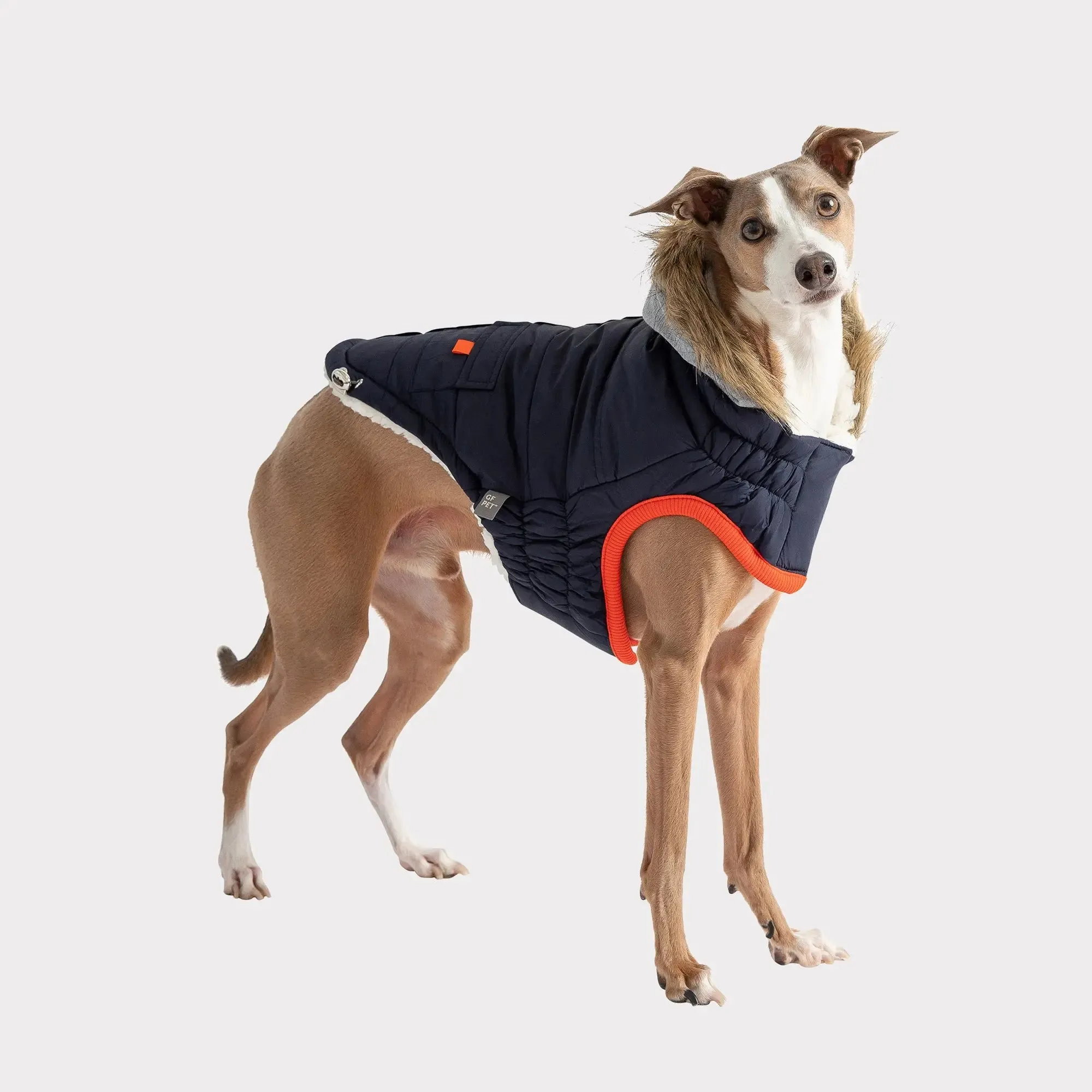 Winter Sailor Dog Parka | Navy